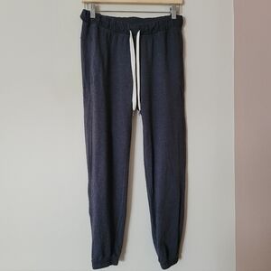 Lululemon Women's Charcoal Grey Jersey Sweatpant Jogger Pants Size 6